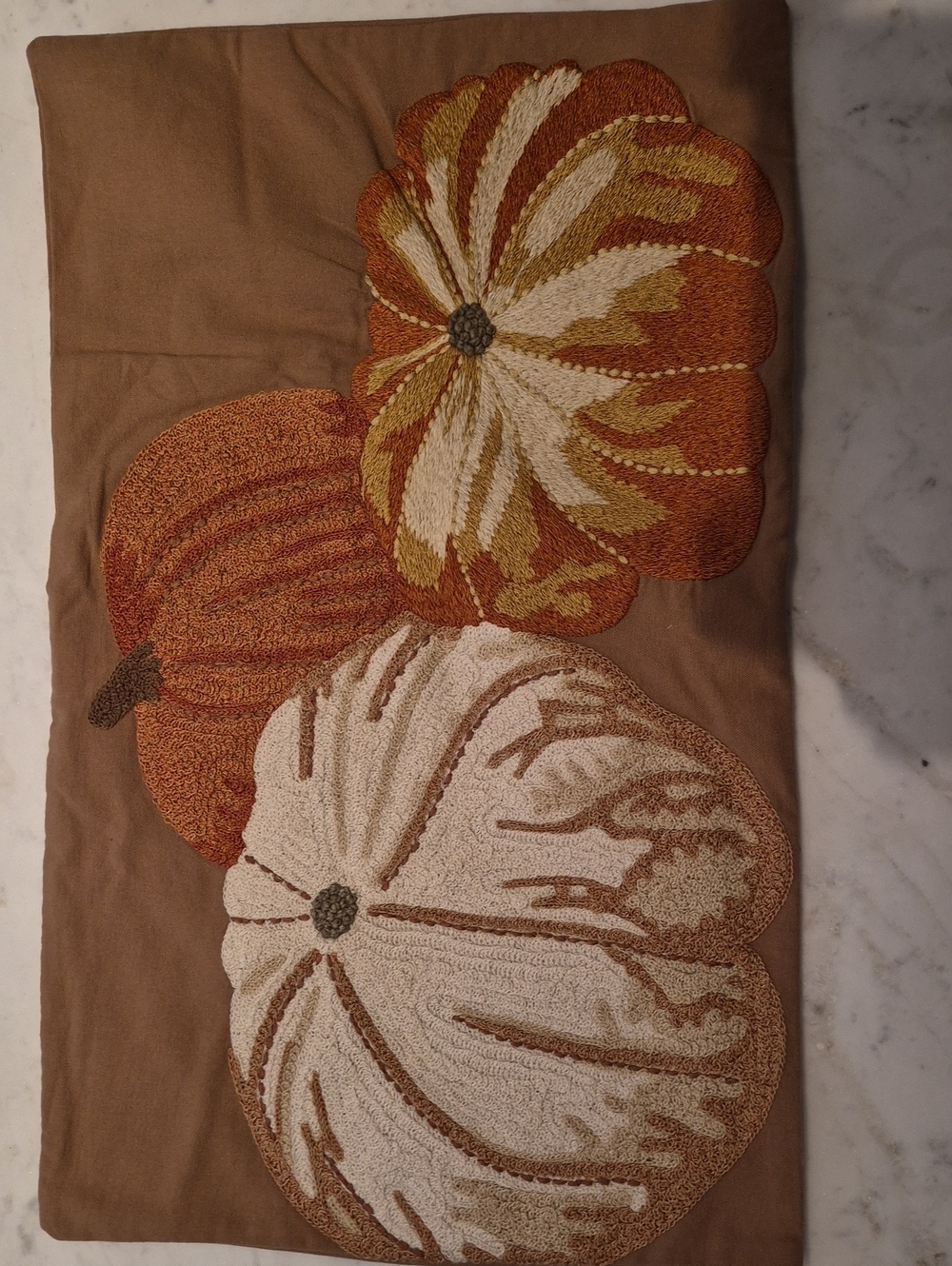 Pottery Barn Pillow Cover